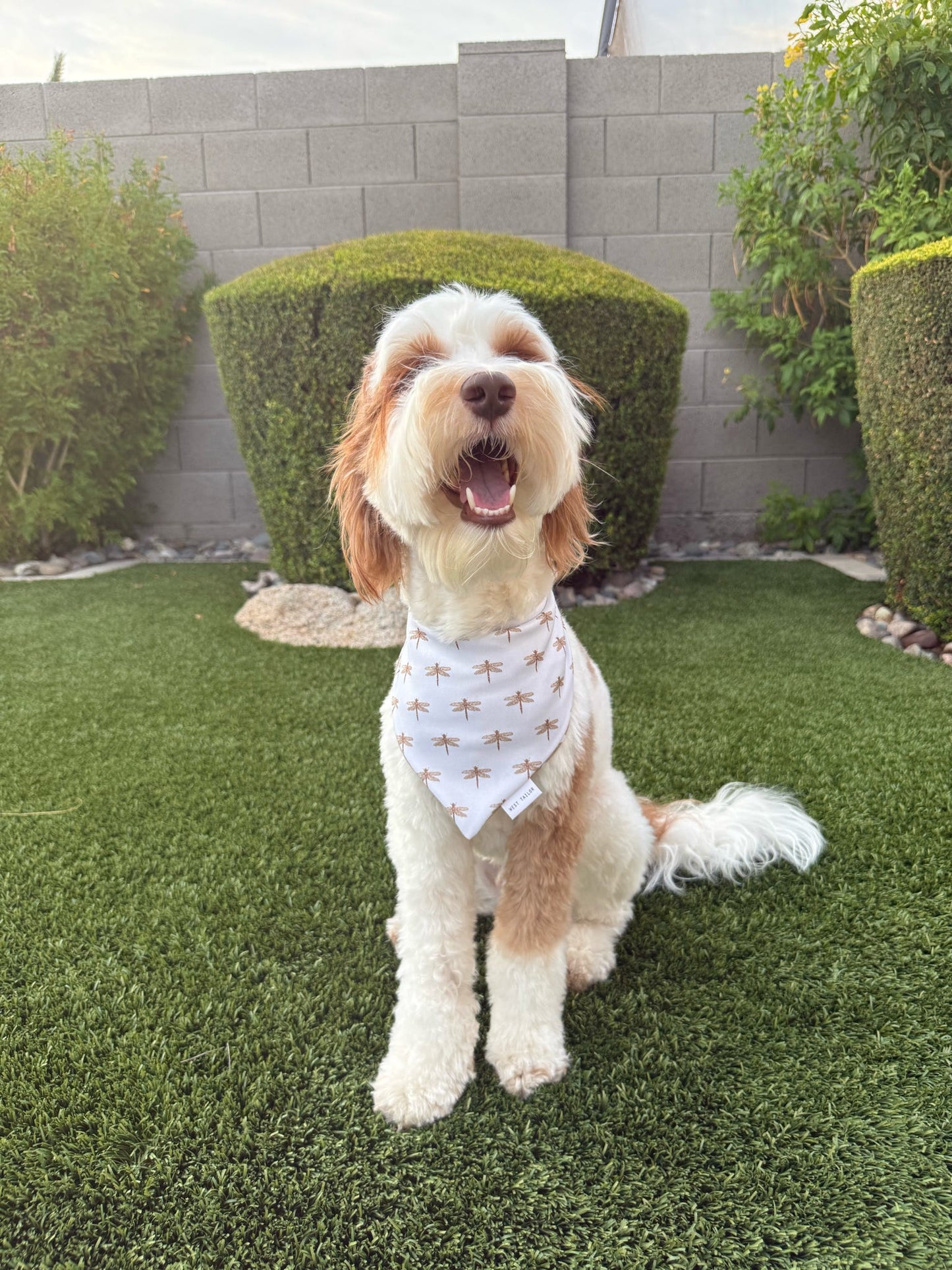 Lorelai Reversible Bandana