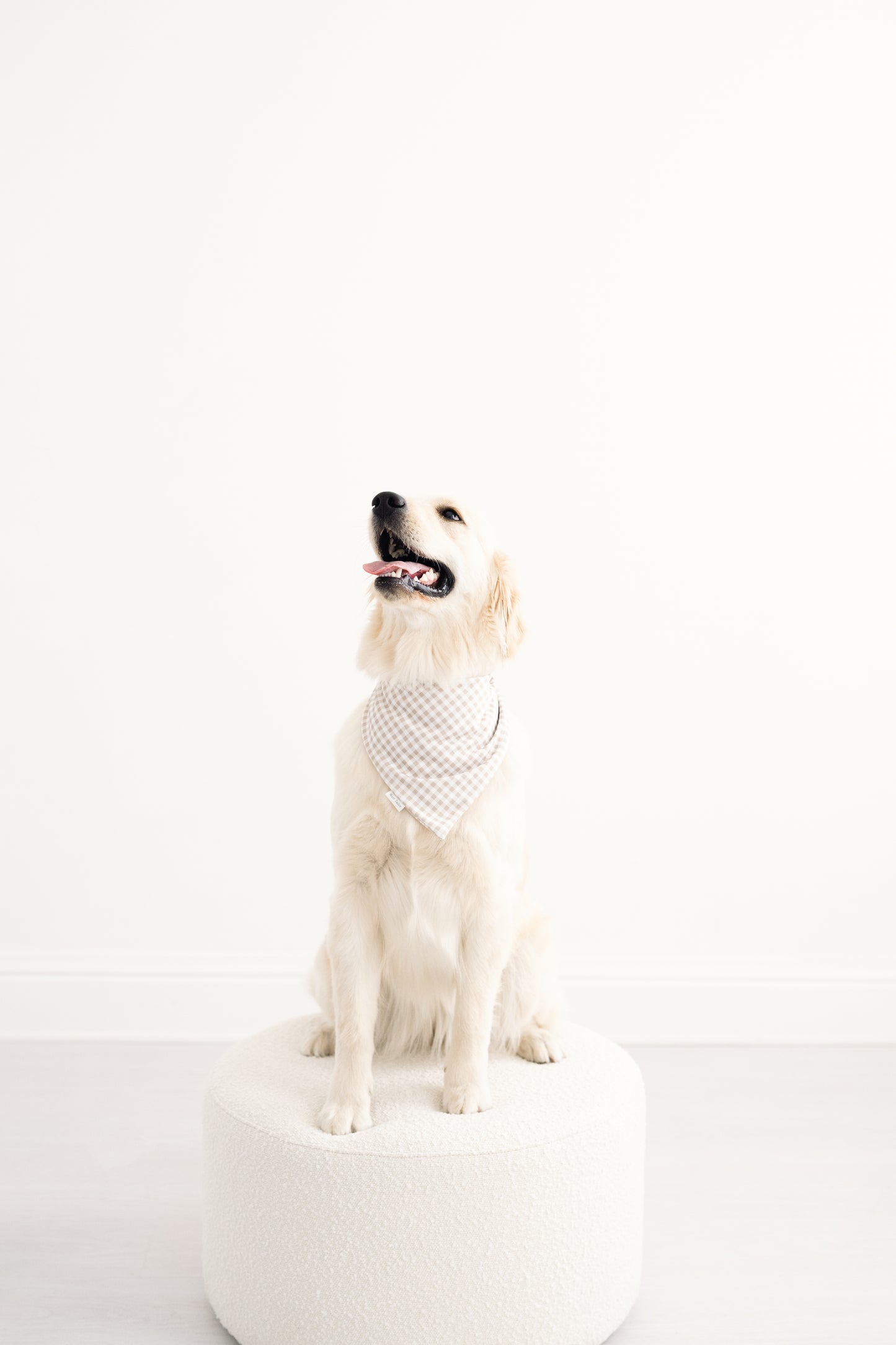 Daphne Reversible Bandana