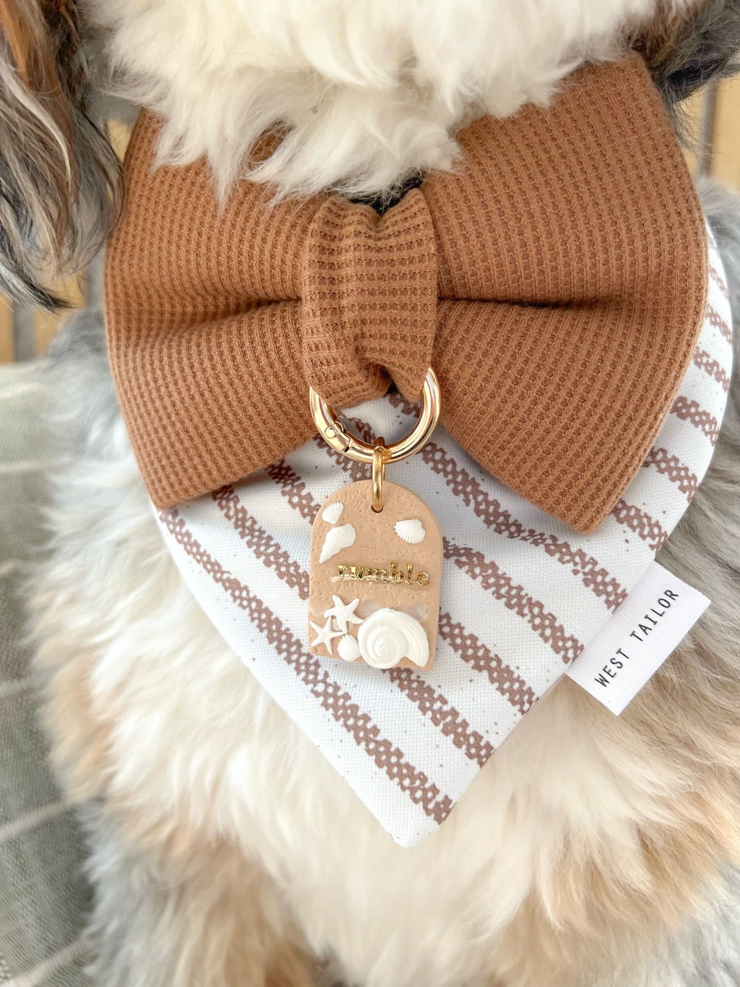 Carmen Bow Tie