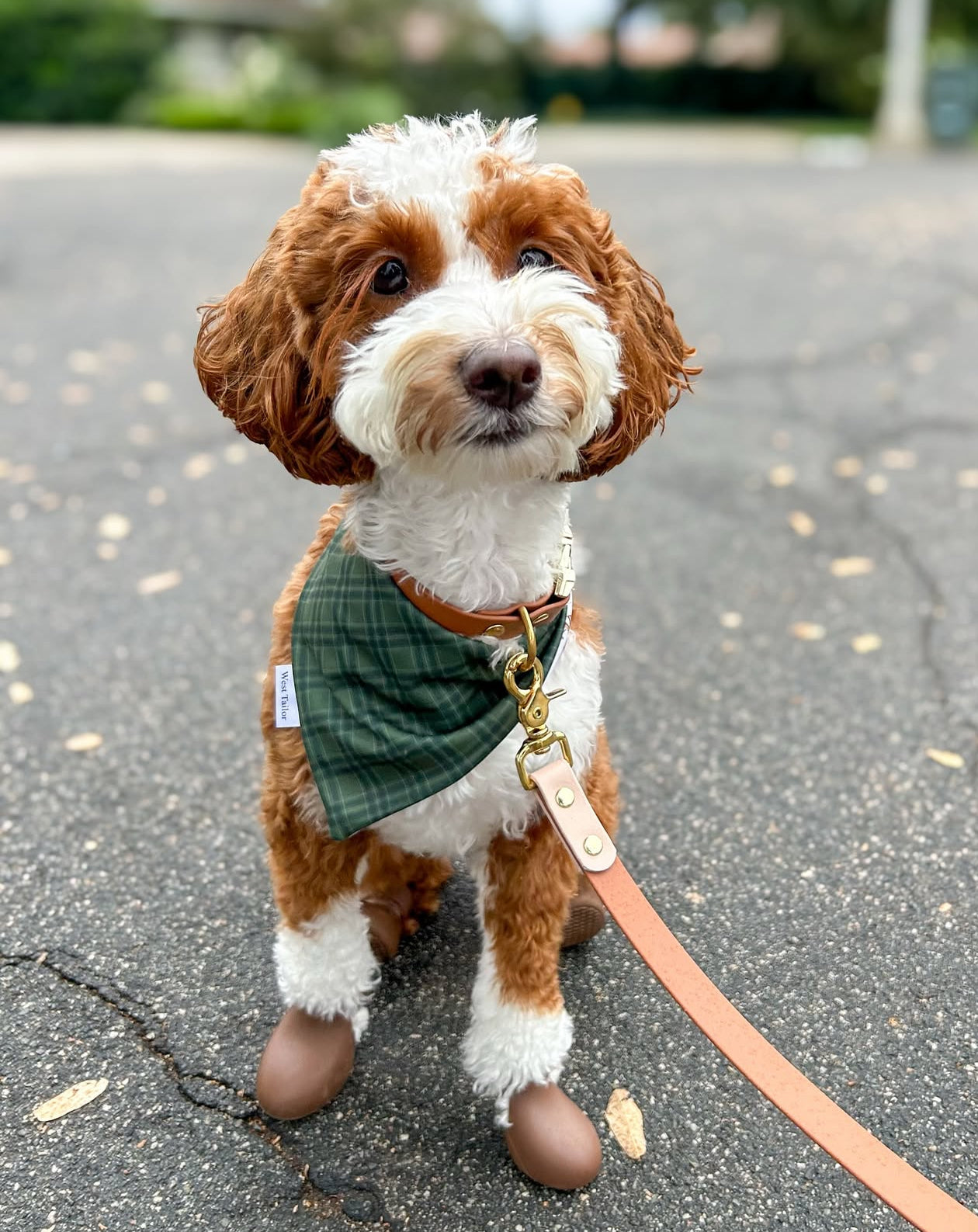 The Wadsworth Bandana