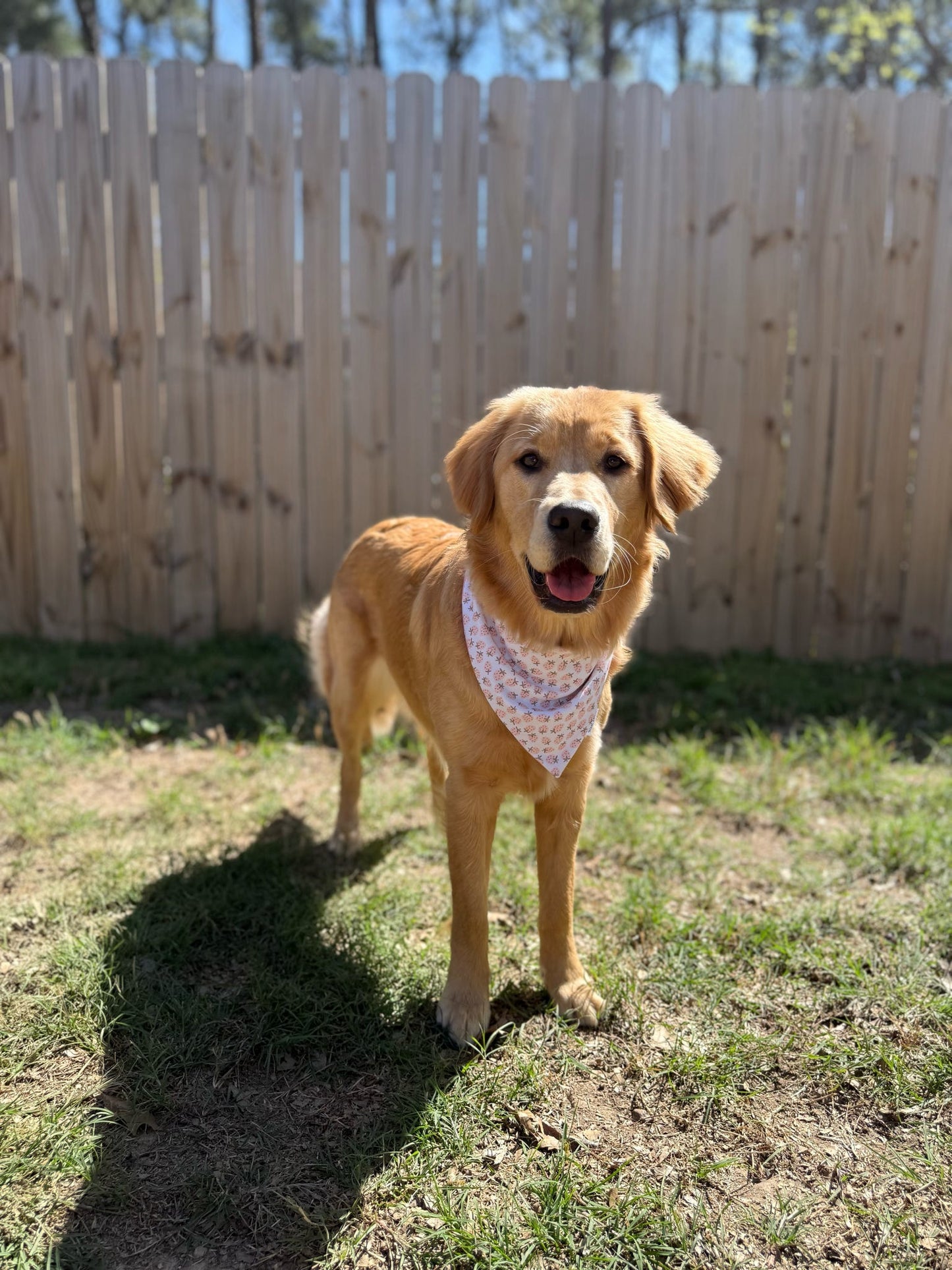 Mabel Strawberries Bandana