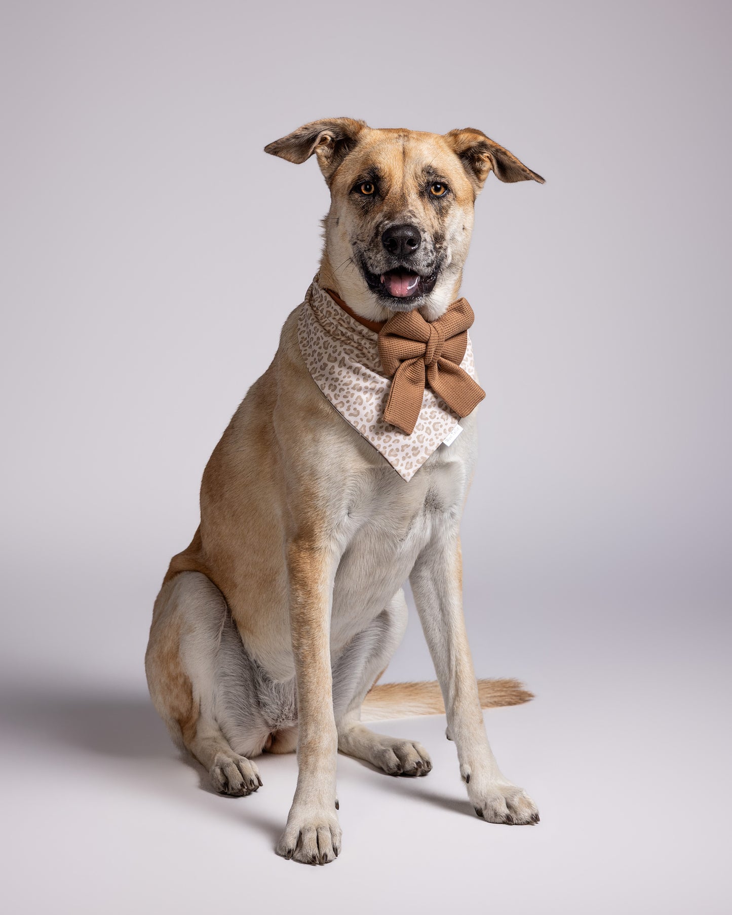 Nala Bandana