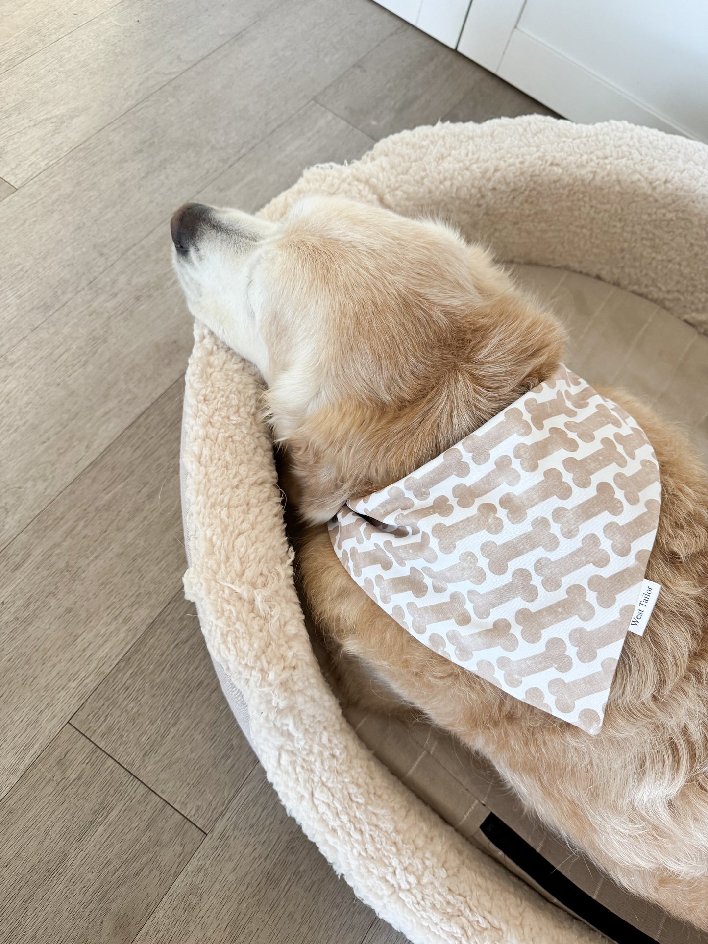 Charlie Bone Bandana