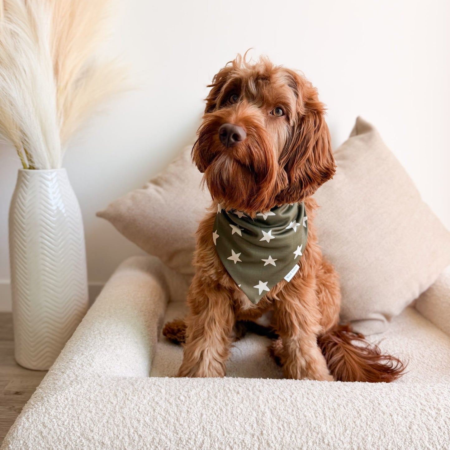 Oliver Stars Bandana