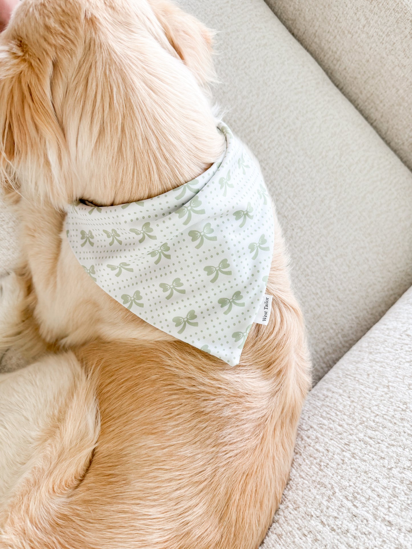 Lucy Lynn Bandana