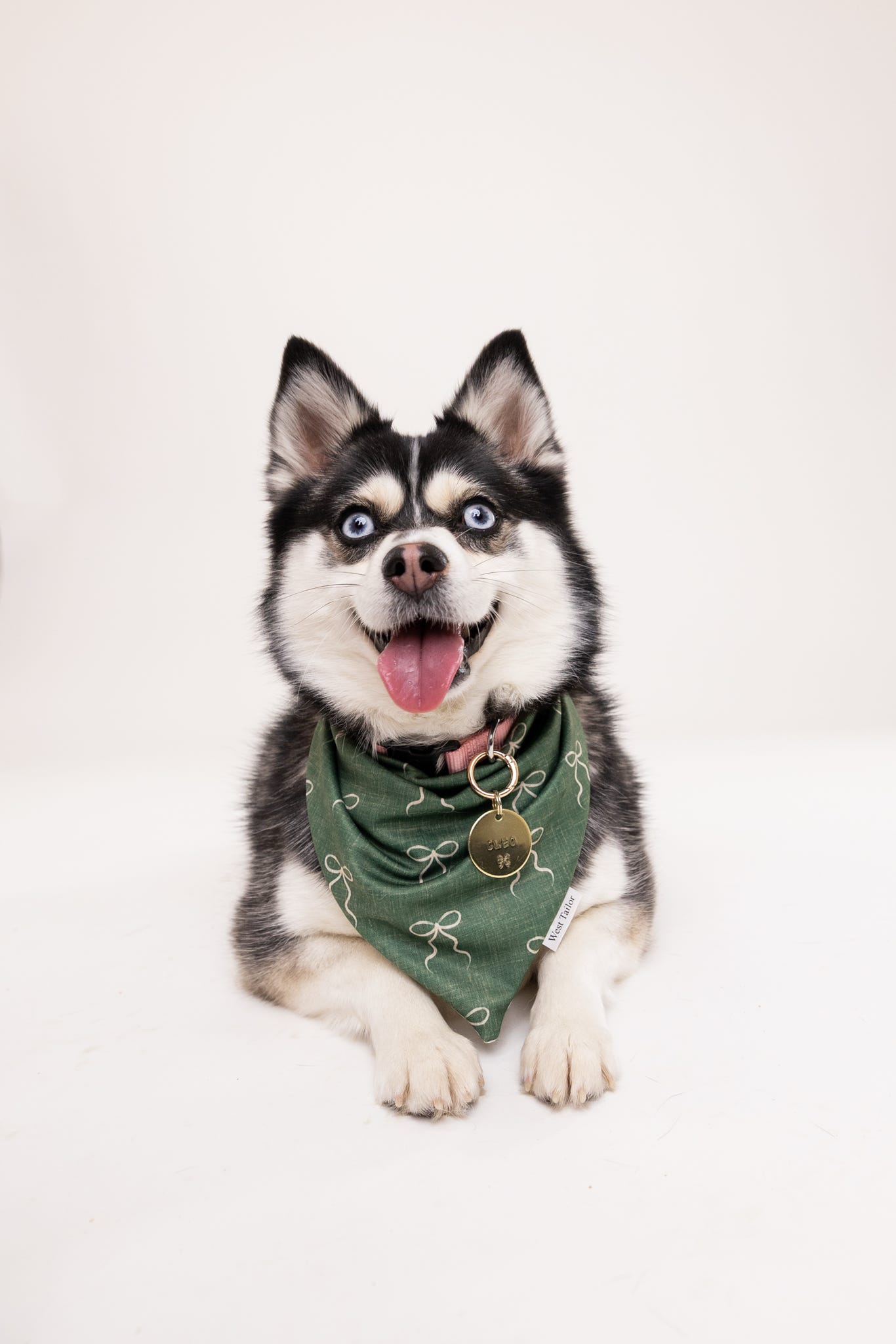 Holly Jolly Performance Bandana