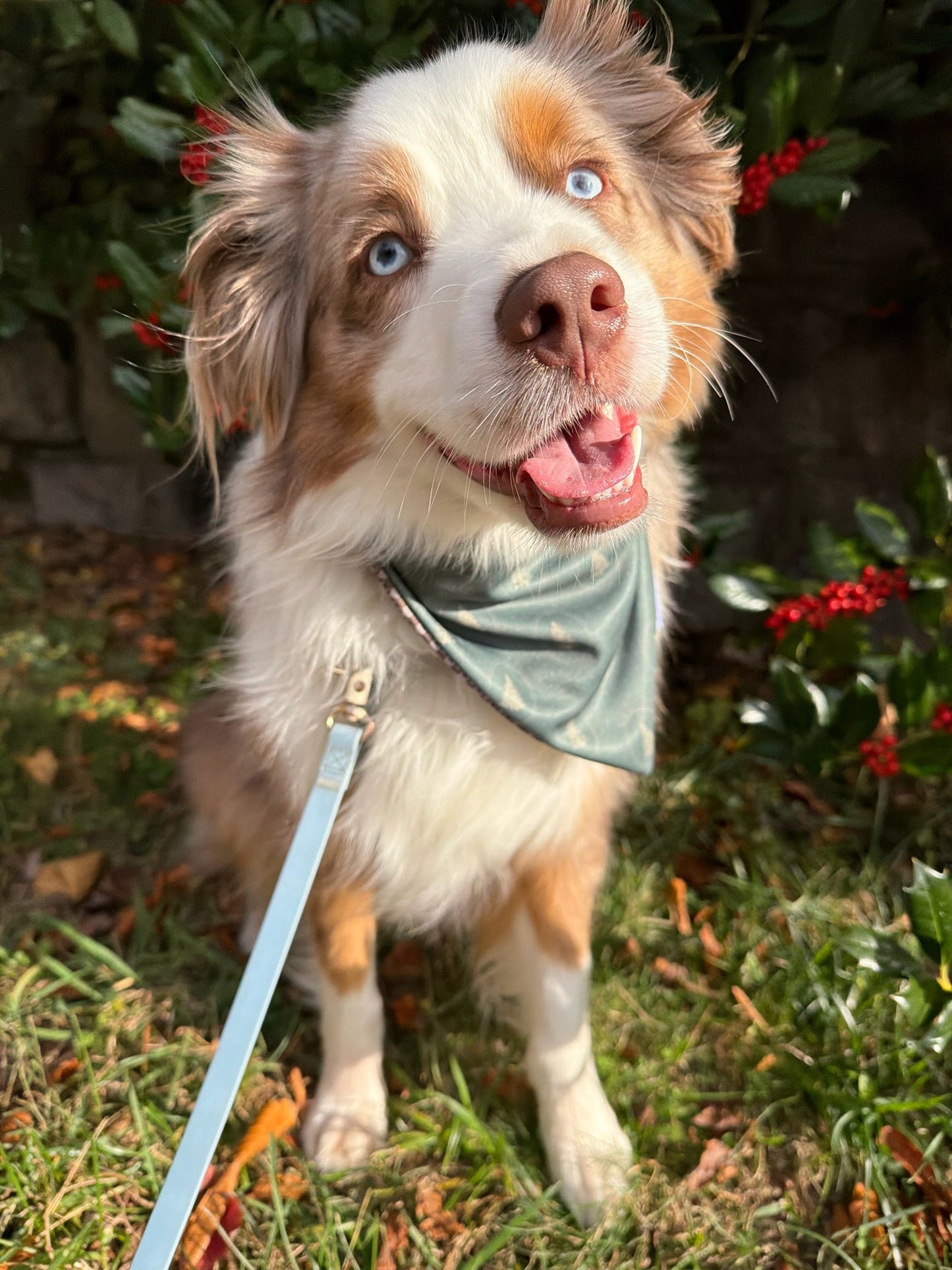 Christmas Tree Performance Bandana