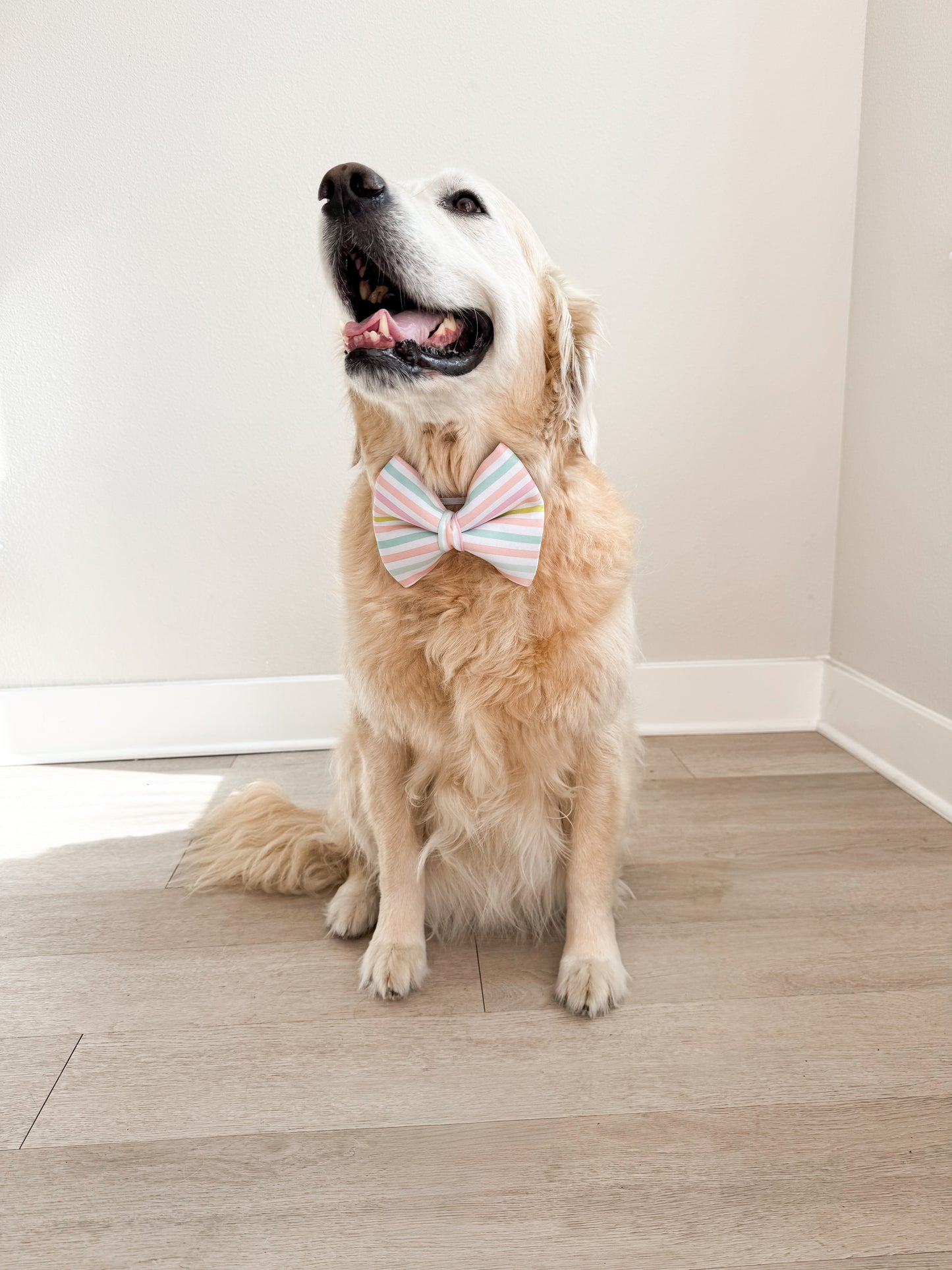 Pastel Stripes Bow