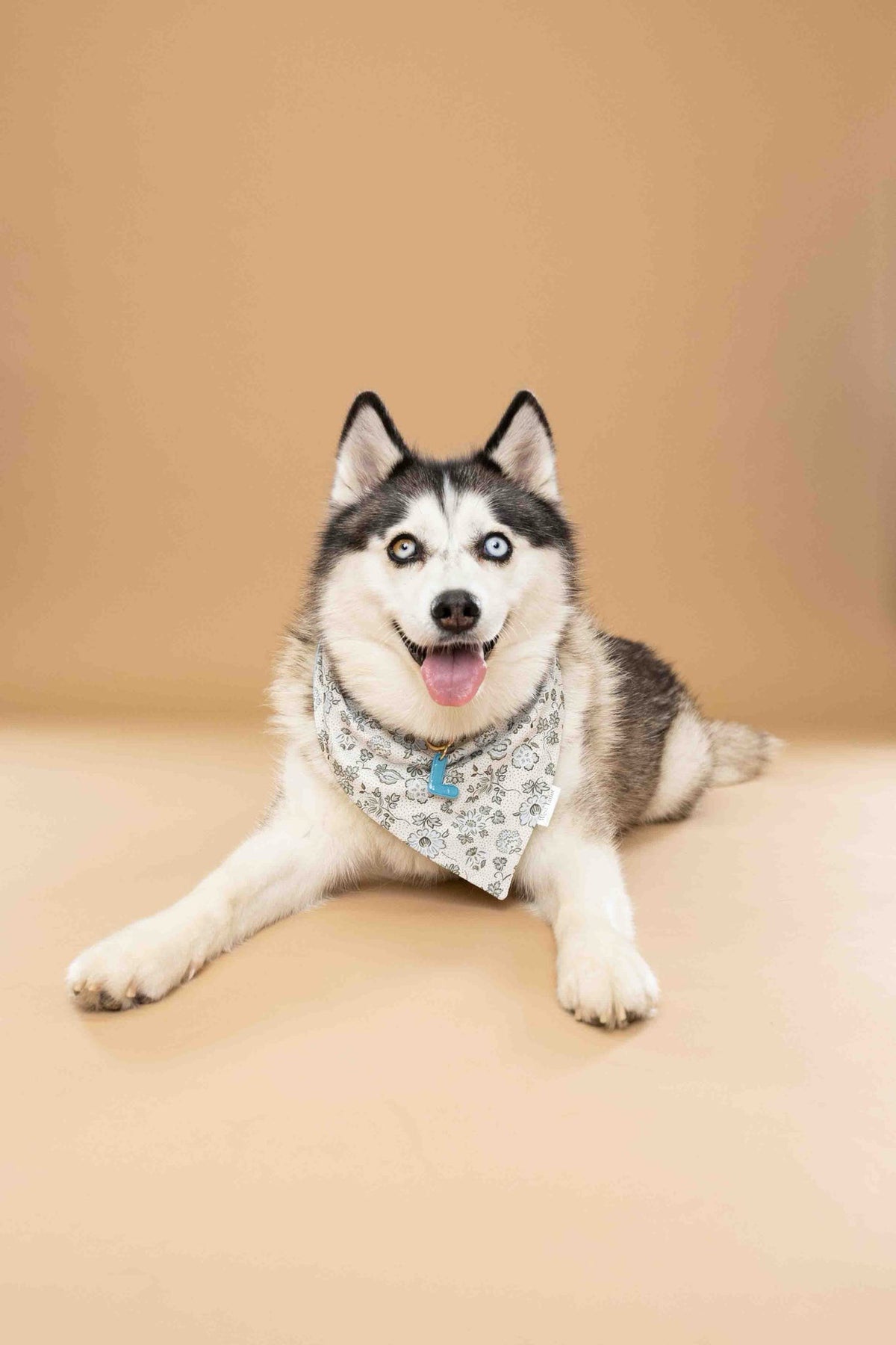 The Sinclair Bandana