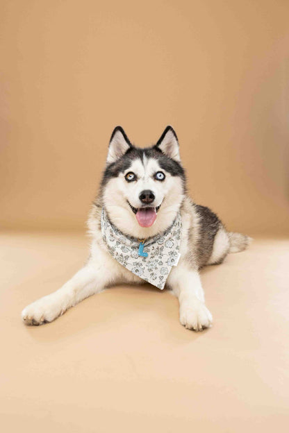 The Sinclair Bandana
