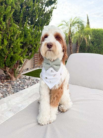 Light Green Gingham Bow