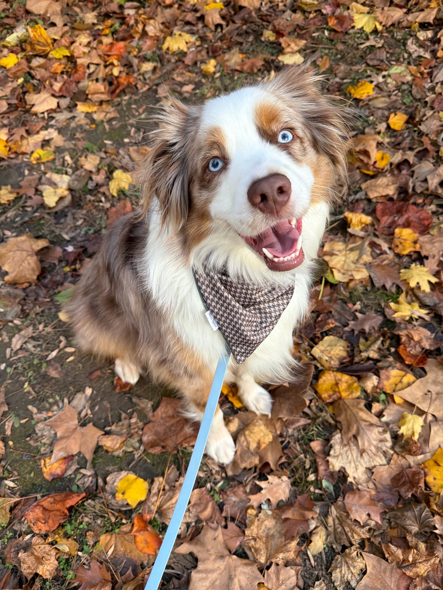 Christmas Tree Performance Bandana