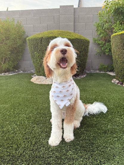 Lorelai Reversible Bandana