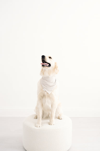 Daphne Reversible Bandana