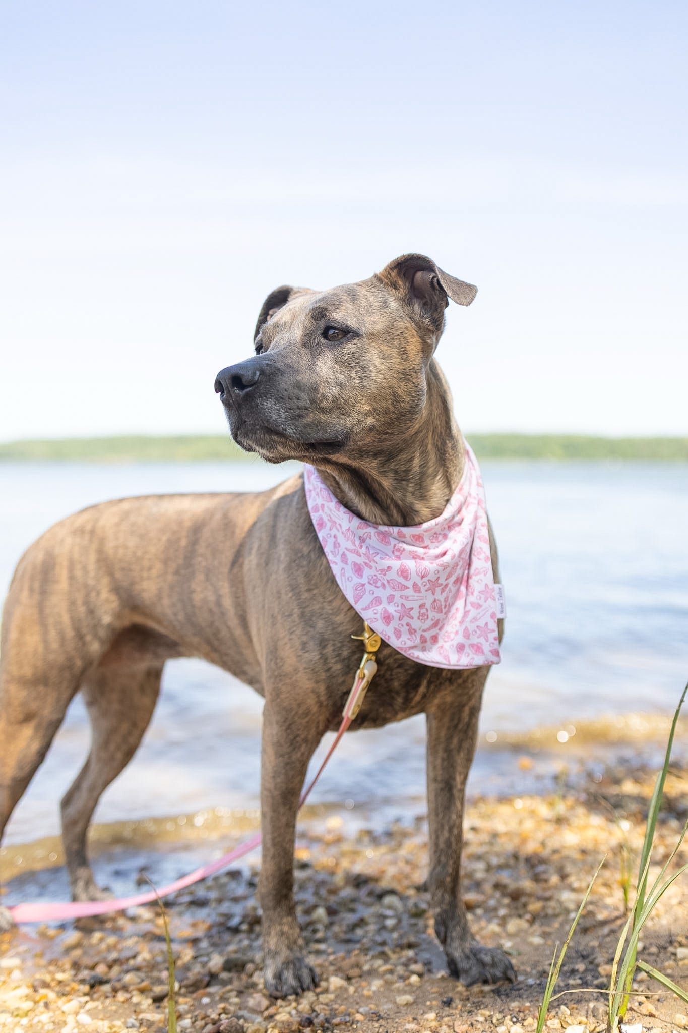 Luna Summer Reversible Bandana