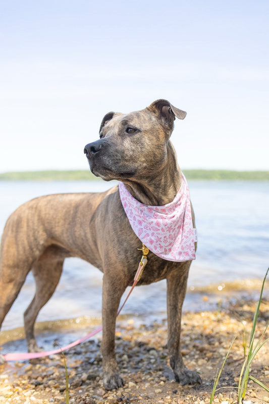 Luna Summer Reversible Bandana