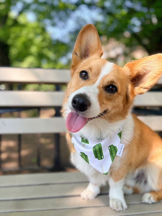 Popsicle & Floral Bandana