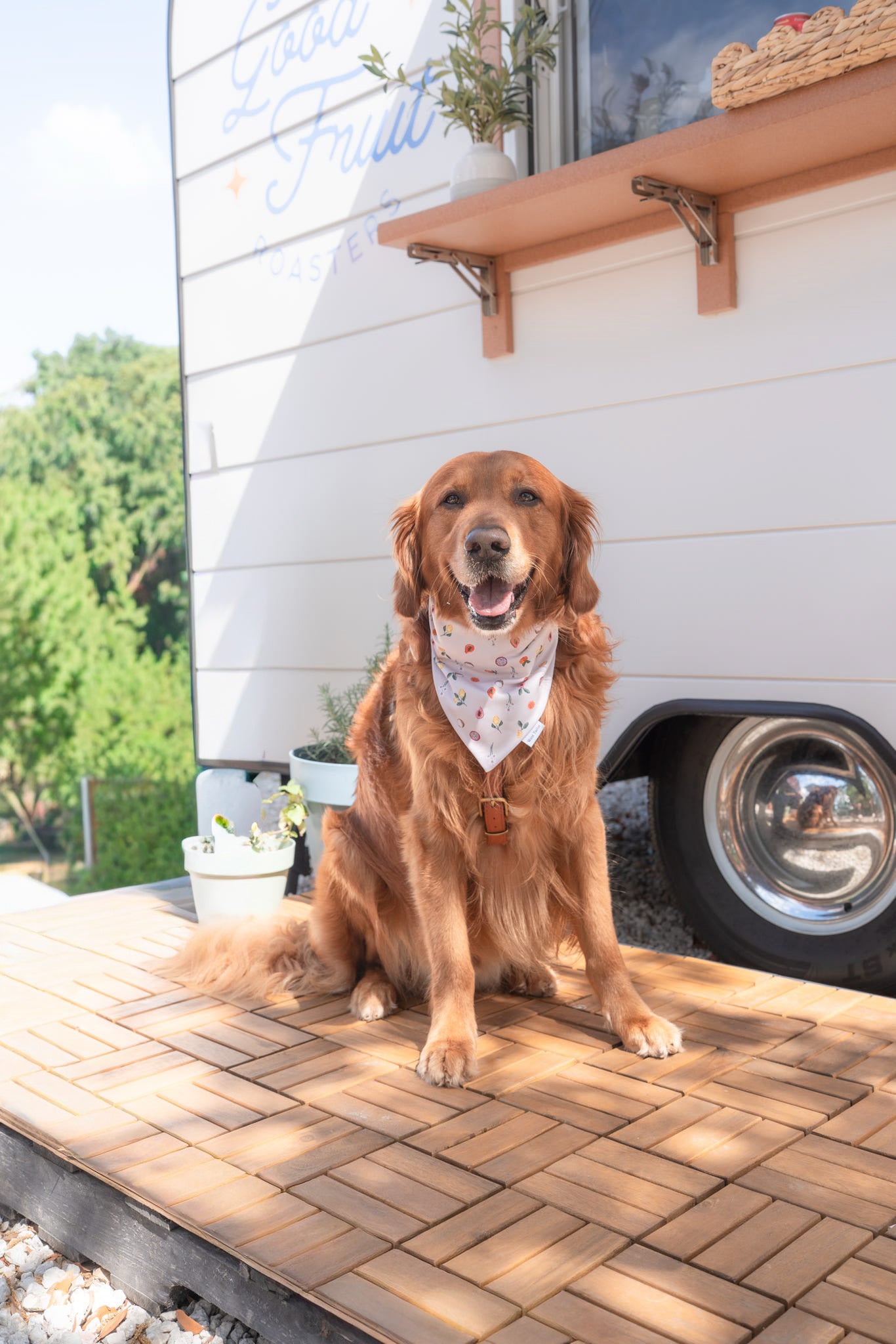 Margo Reversible Bandana