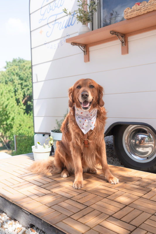 Margo Reversible Bandana