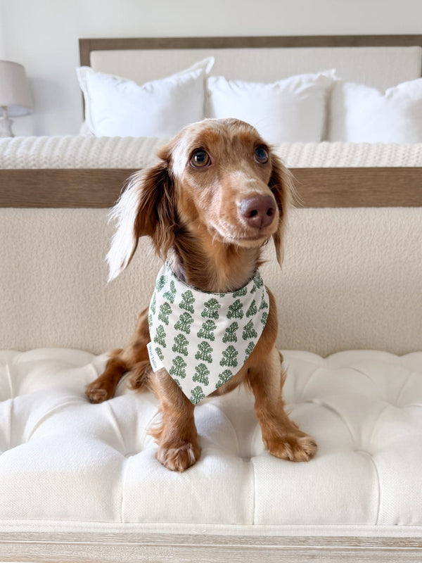 Olive Tide Reversible Bandana