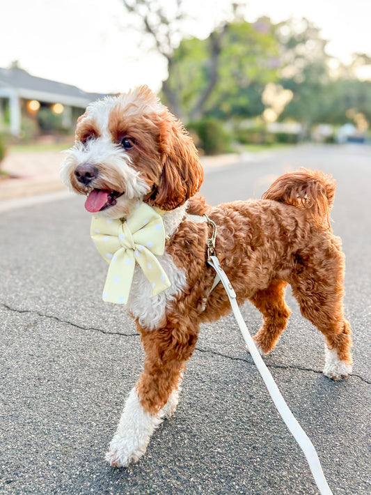 Yellow Polka Dot Bow