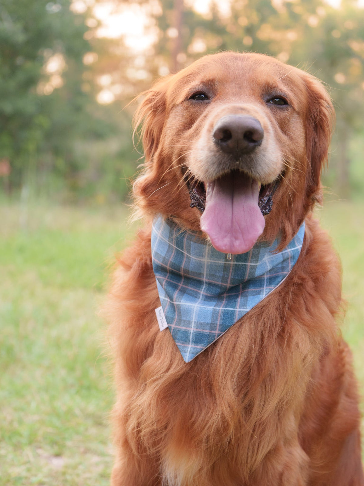 Prescott Bandana