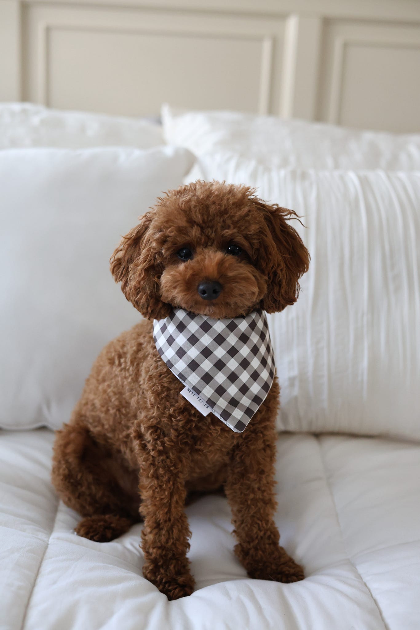 Ophelia Reversible Bandana
