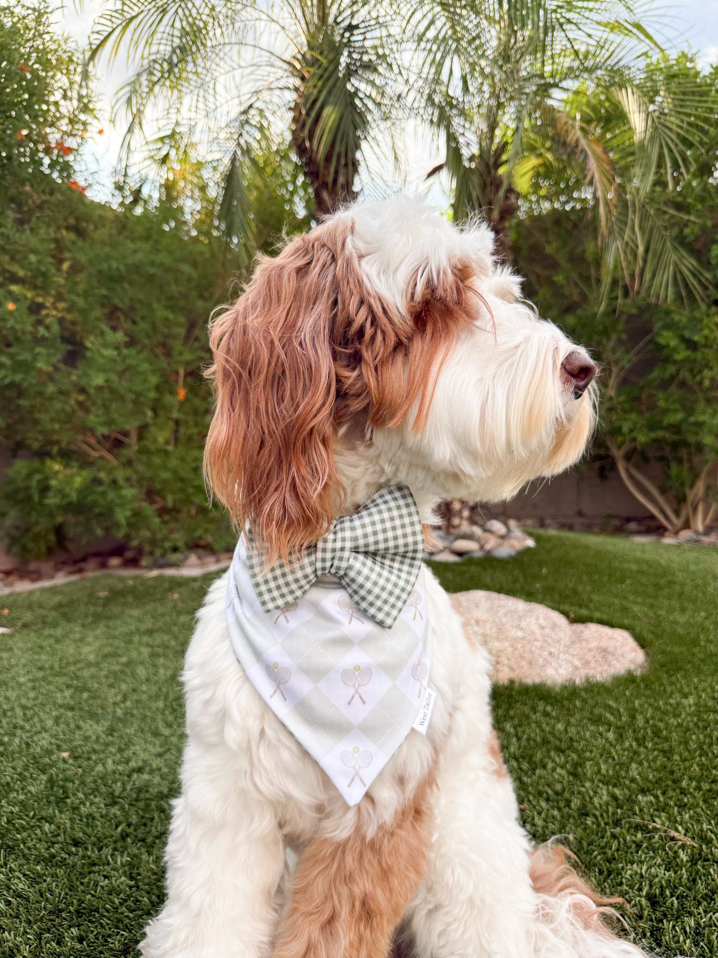 Tennis Match Bandana