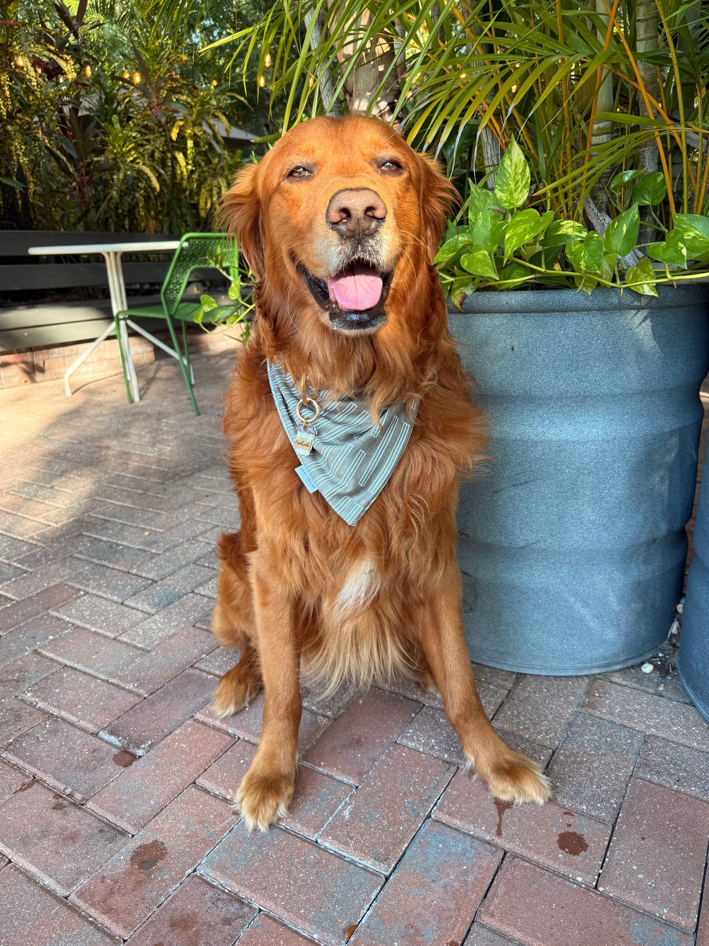 Matthews Reversible Bandana