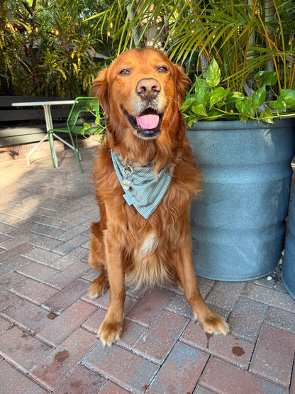 Matthews Reversible Bandana