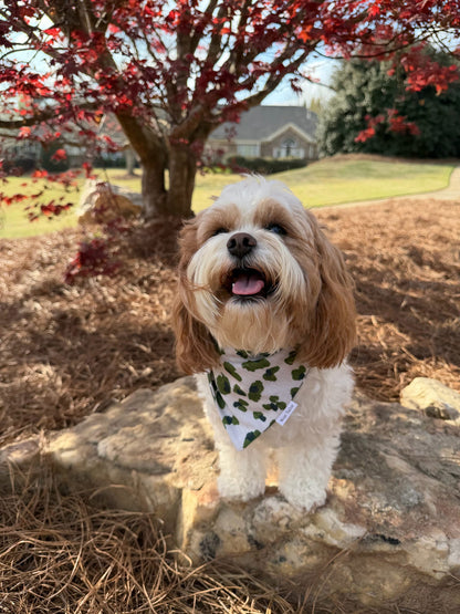 Remi Bandana