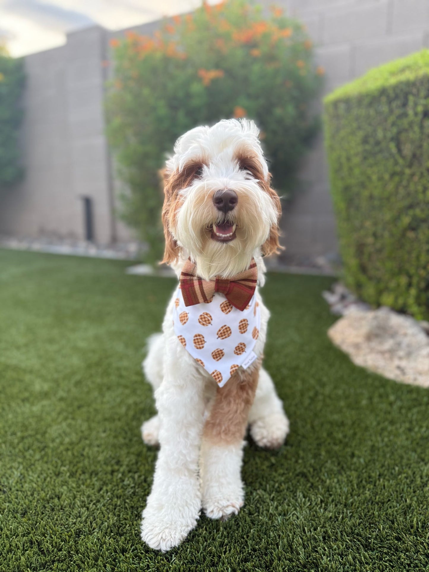 Ruston Bandana
