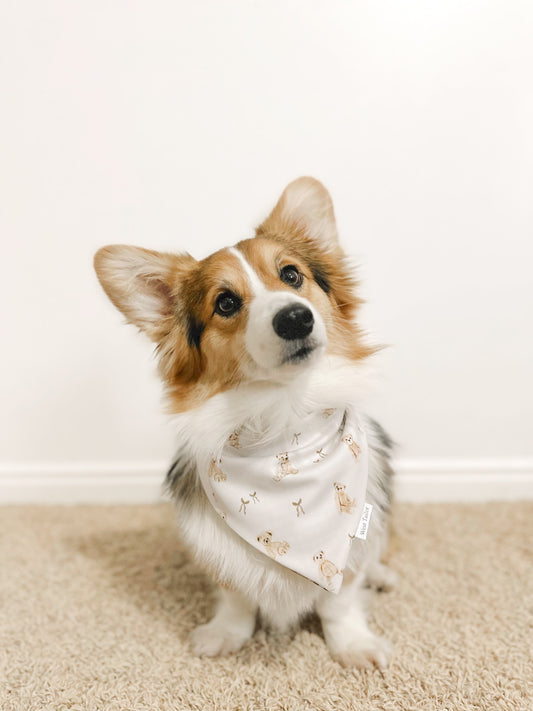 Teddy Bandana