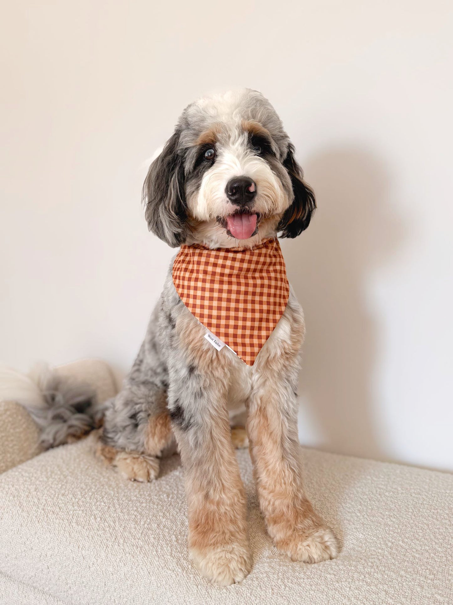 Ruston Bandana