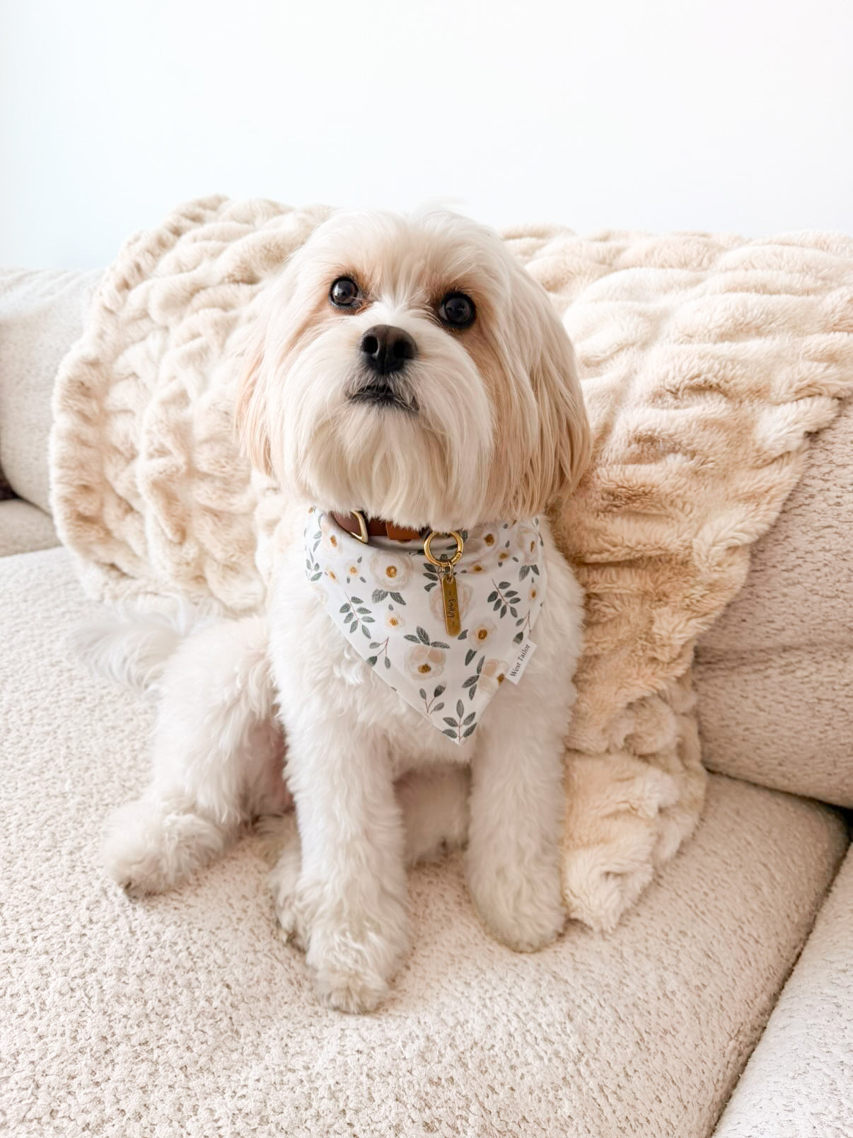 Magnolia Bandana
