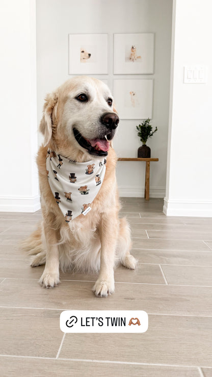 Dapper Dogs Reversible Bandana