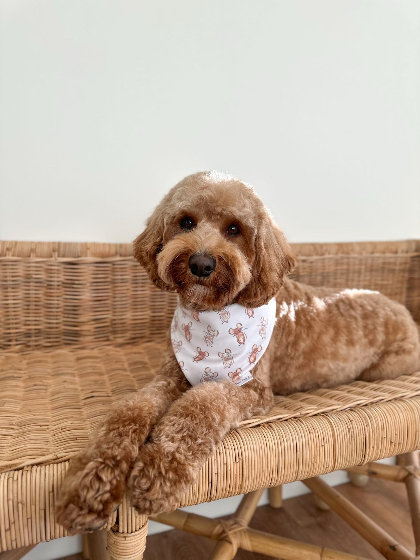 Frankie Reversible Bandana