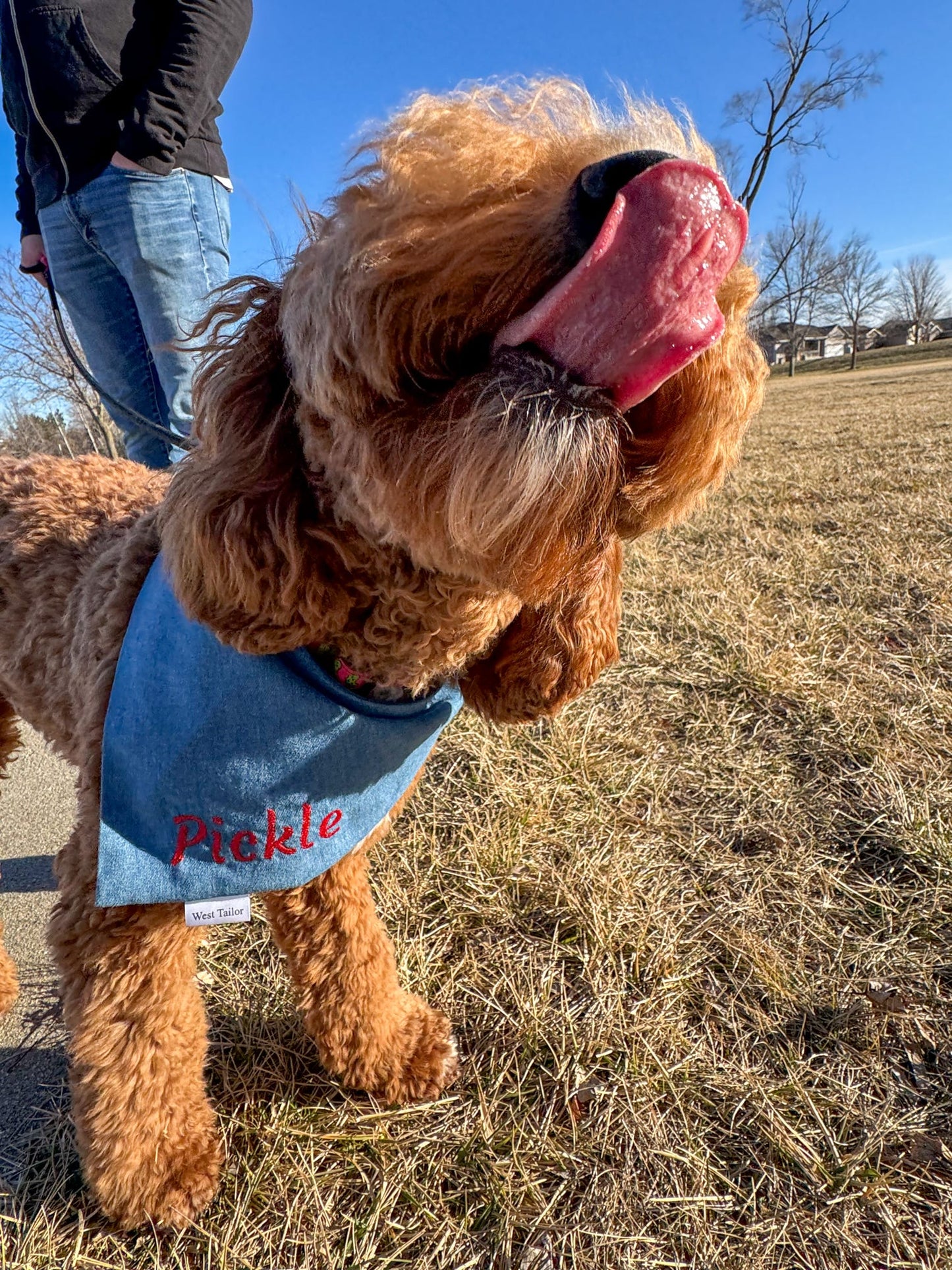 Personalized Denim Bandana