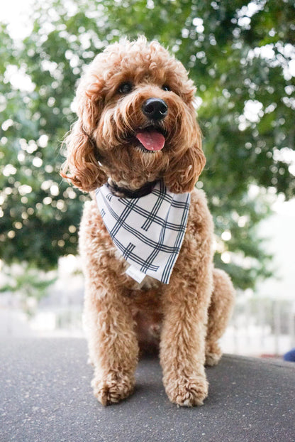 Lennox Bandana