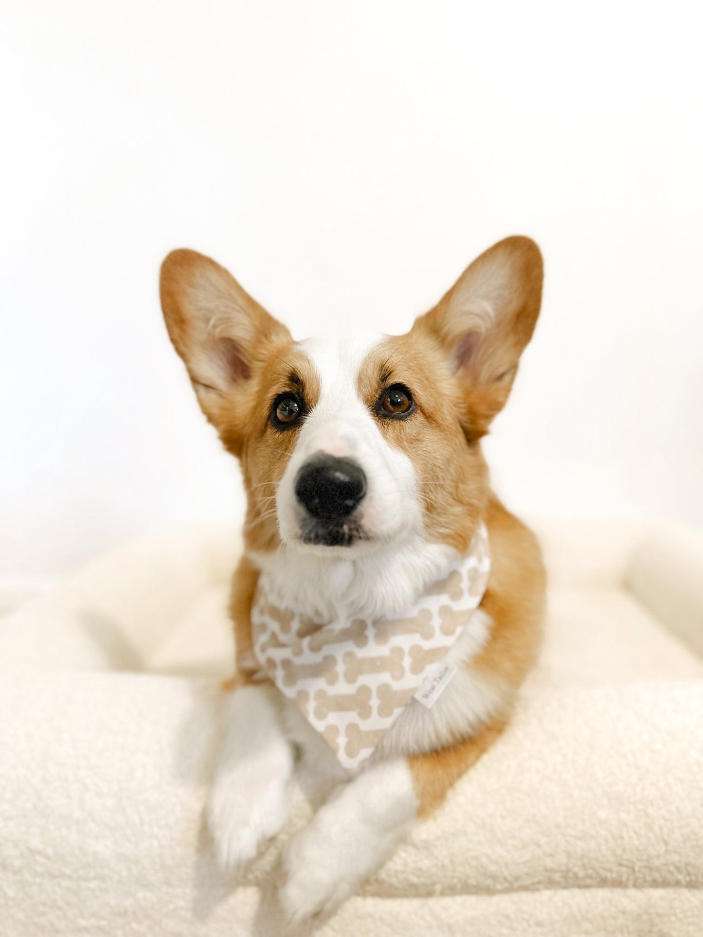 Charlie Bone Bandana