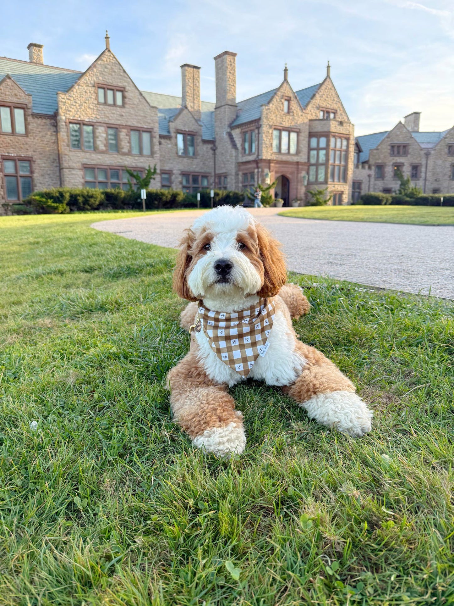 Bridget Reversible Bandana