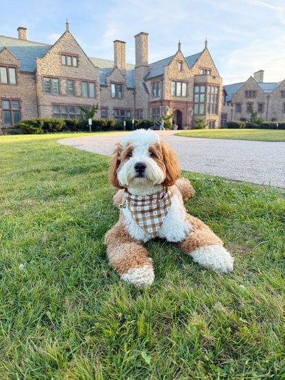 Bridget Reversible Bandana