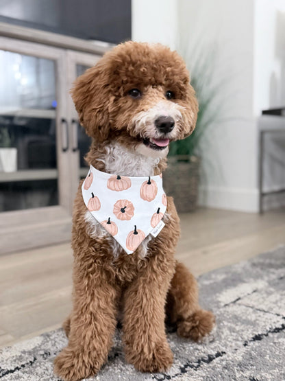 Pumpkins & Flannel Reversible Bandana