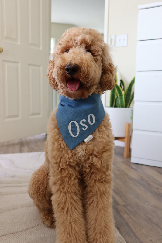 Personalized Denim Bandana