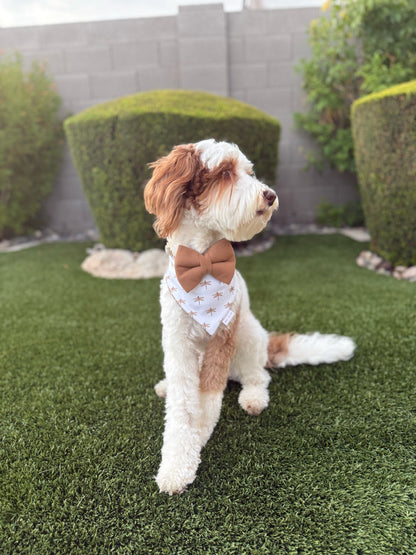 Lorelai Reversible Bandana