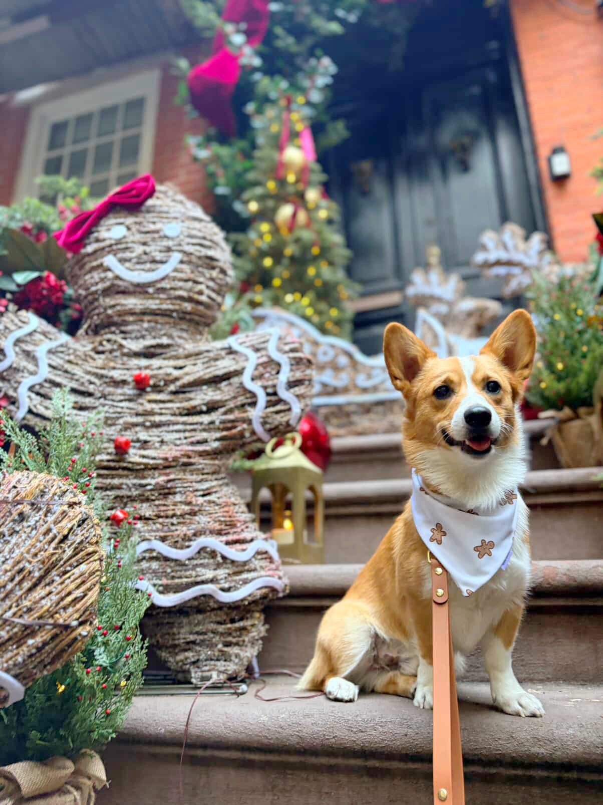 Gingerbread Man Performance Bandana