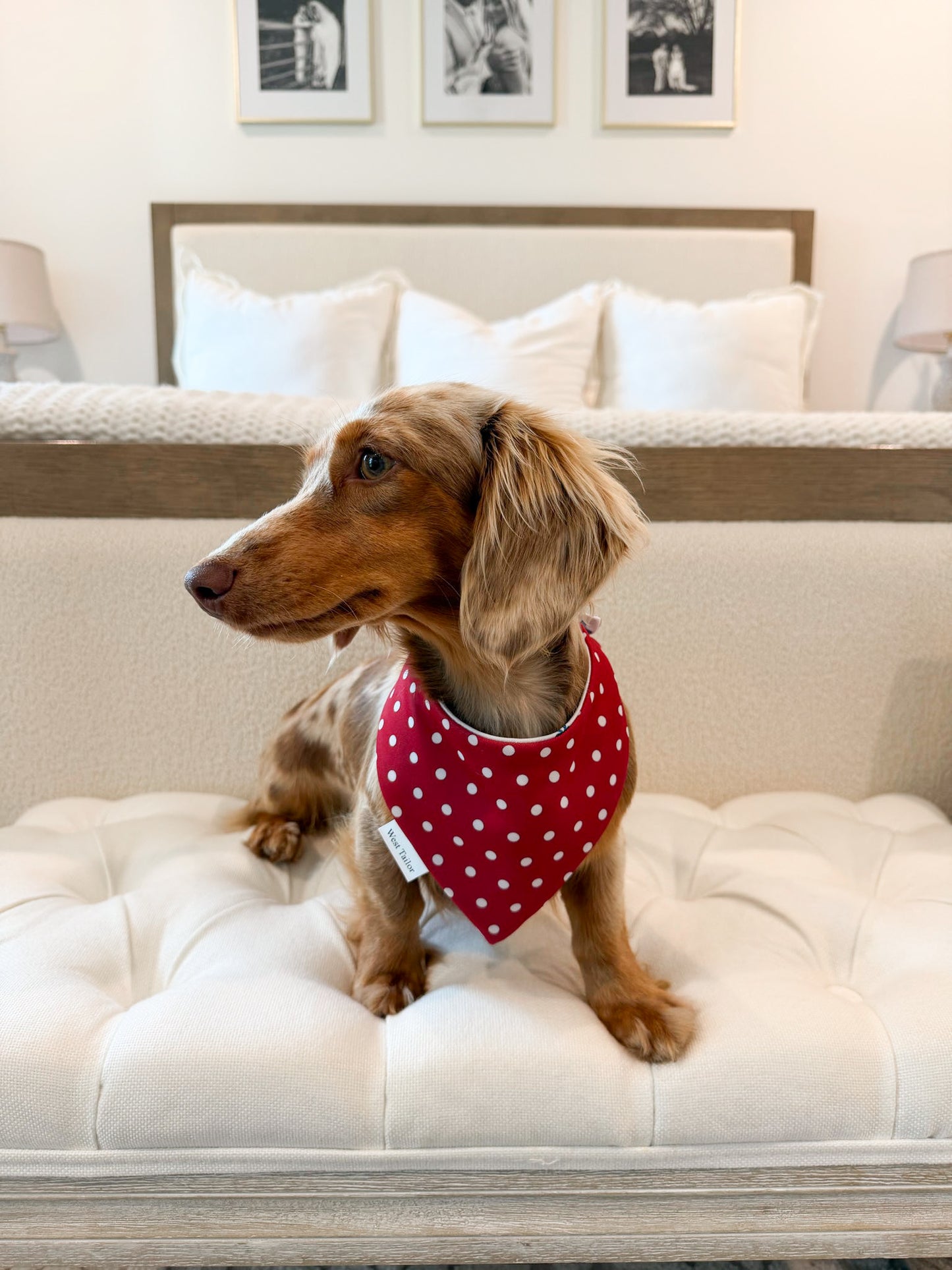 Miss Mable bandana