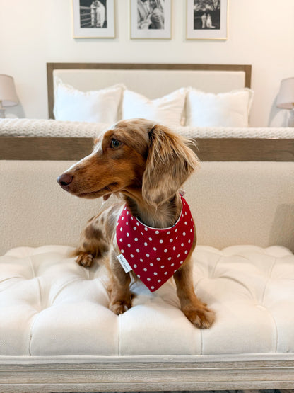 Miss Mable bandana