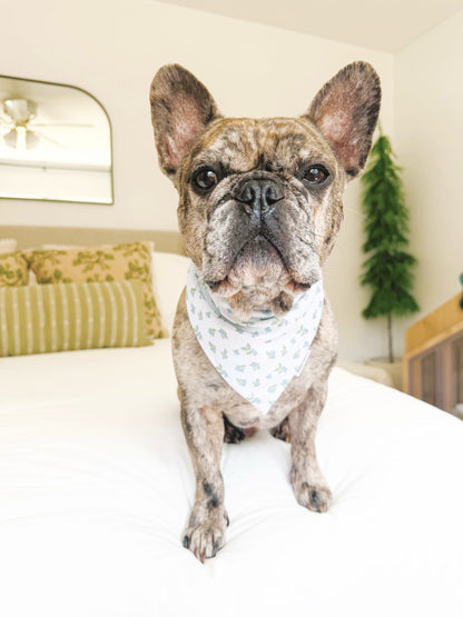 Blueberries & Polka Dots Bandana