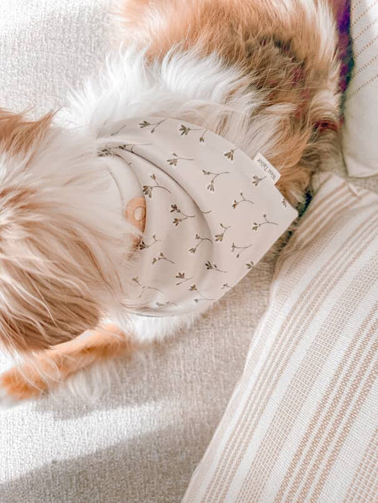 Judy & Bees Bandana